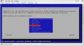 Qnap-Debianinstaller-Softwareauswahl.jpg