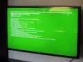 Green Screen.JPG